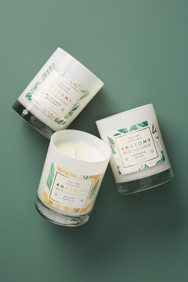 Anatomy of a Fragrance Candle #1