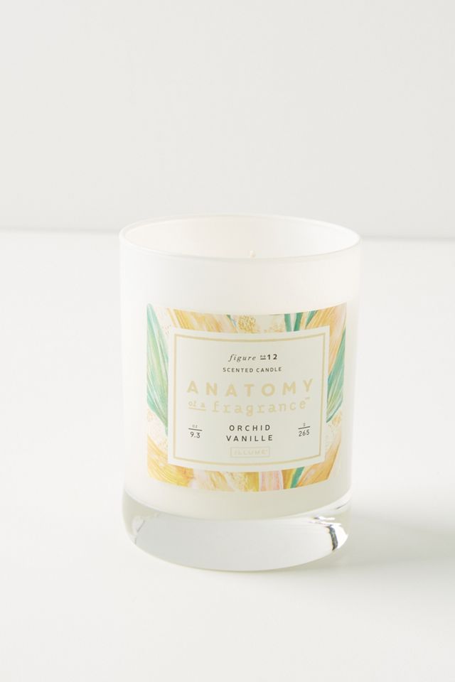 Anatomy of a Fragrance Candle