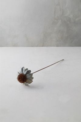 Terrain Iron Cone Flower Stem In Black