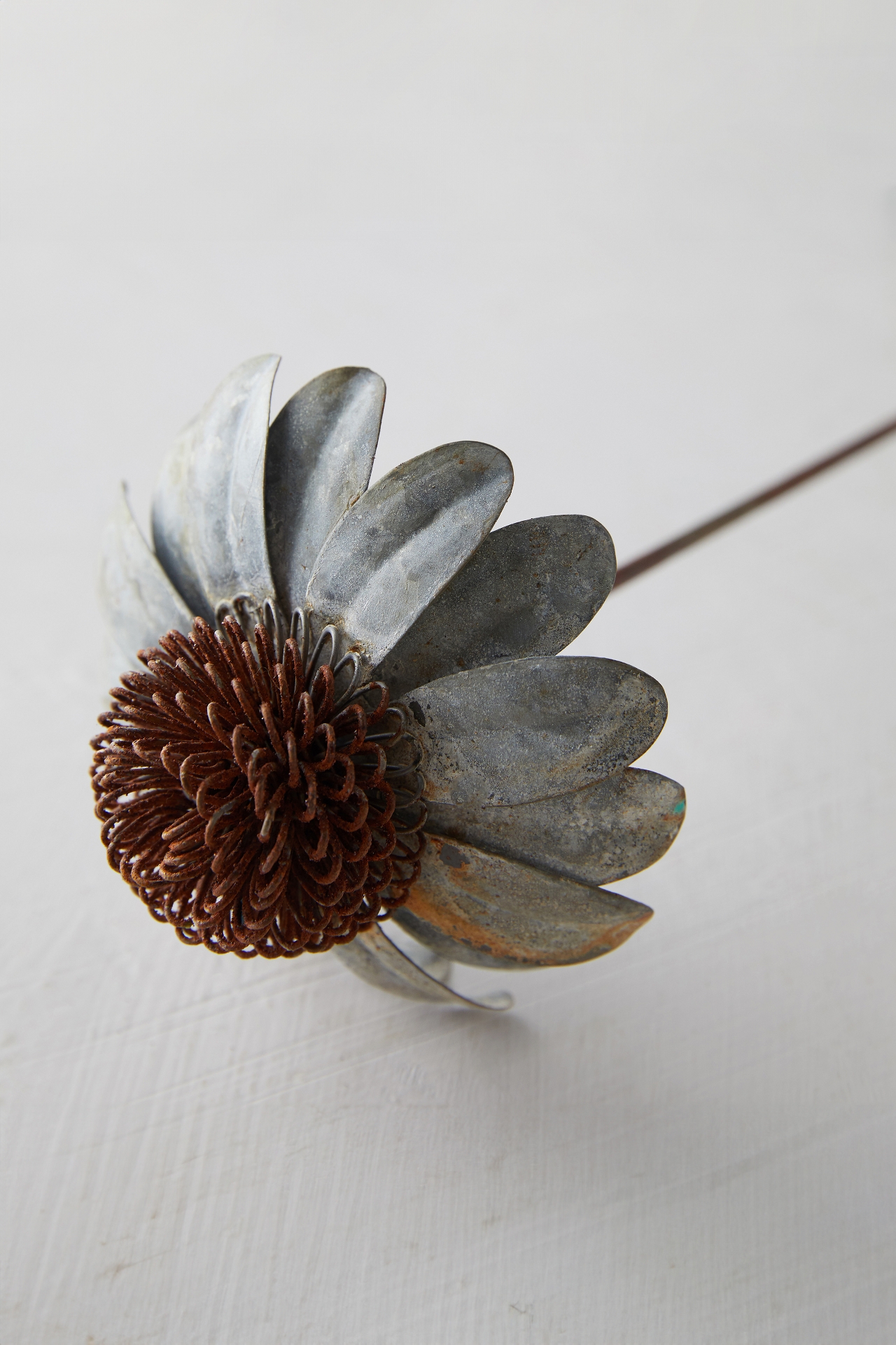 Iron Cone Flower Stem