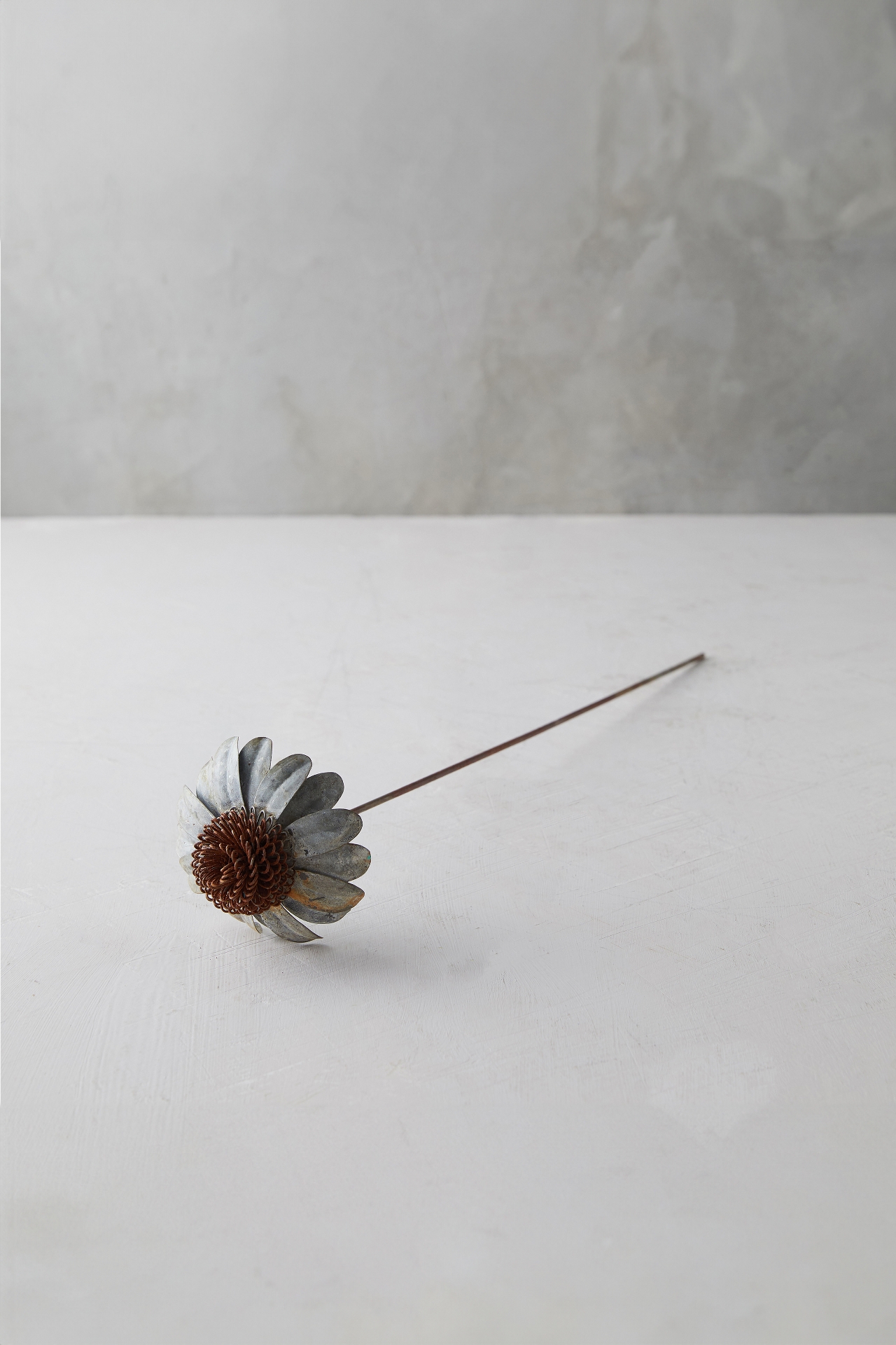 Iron Cone Flower Stem