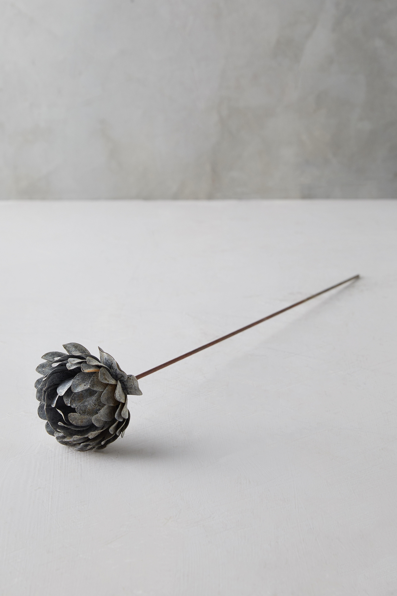 Iron Peony Stem