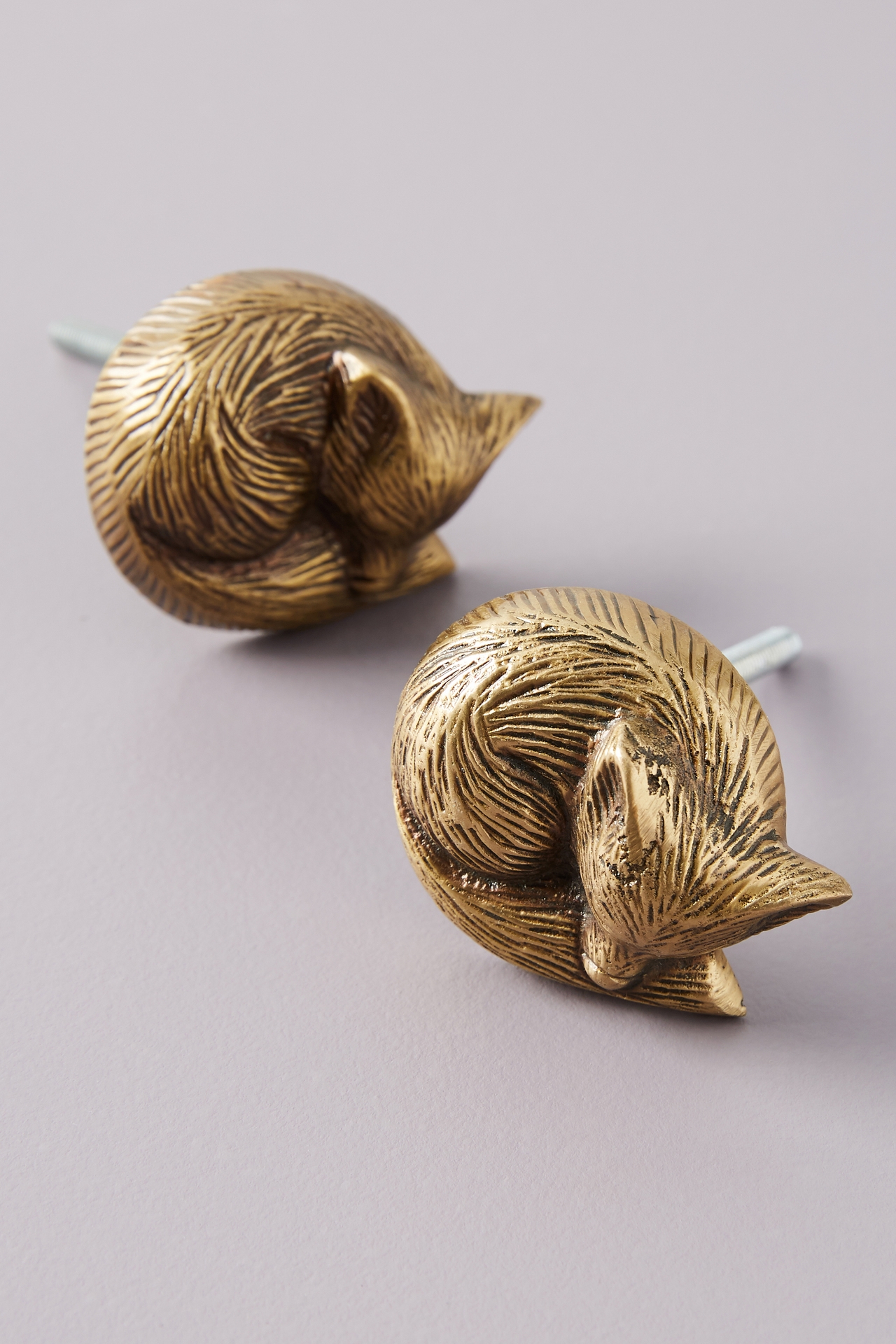 Sleeping Fox Knobs, Set of 2