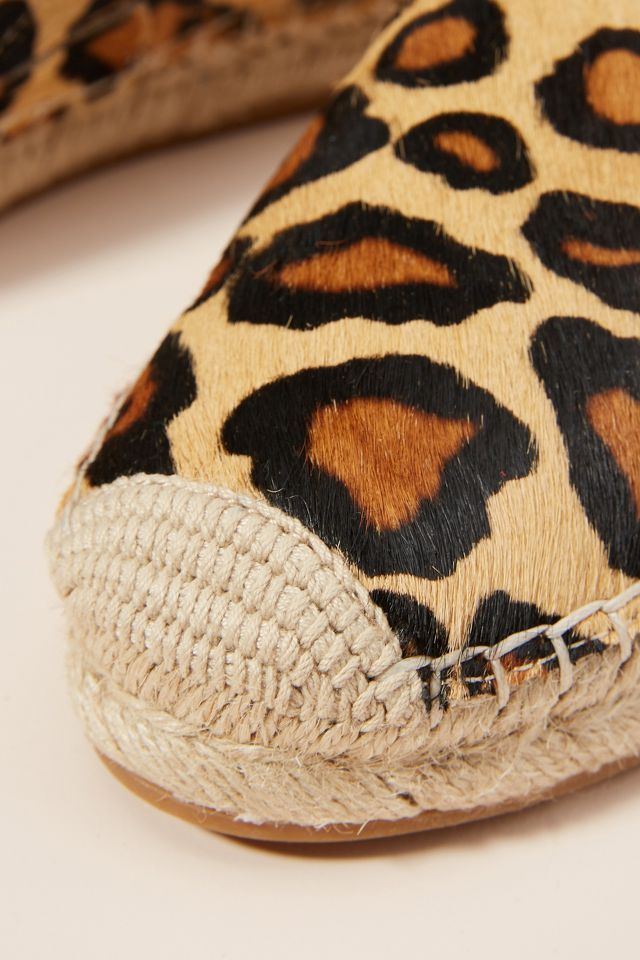 Sam edelman shop khloe espadrille leopard