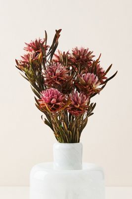 Dried Plumosum Bouquet