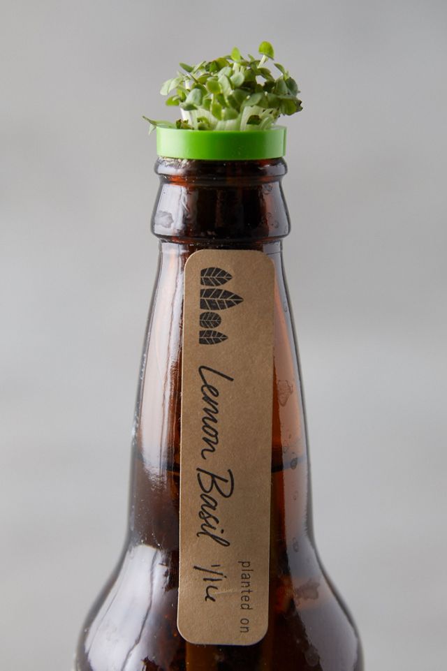 Bottle Garden Grow Kit #2