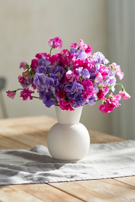 Terrain Fresh Sweet Pea Bunch In Multi