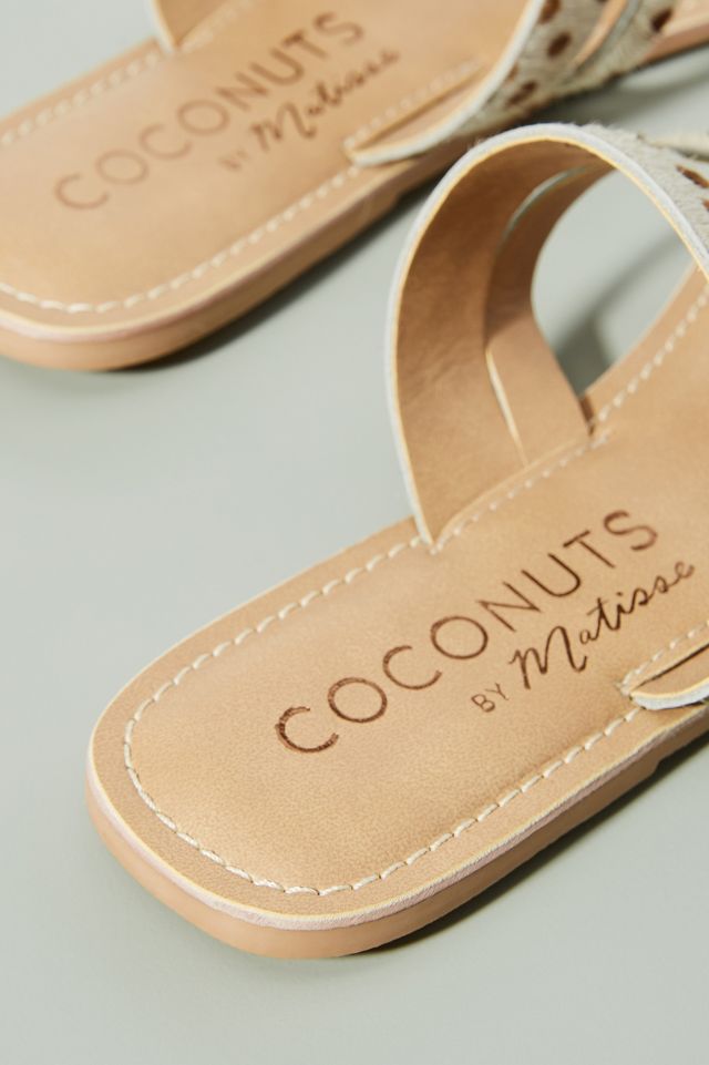 Coconut by matisse slides hot sale