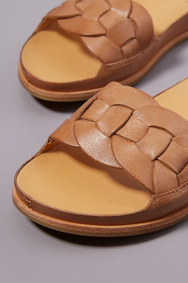 Kork ease dolphin outlet