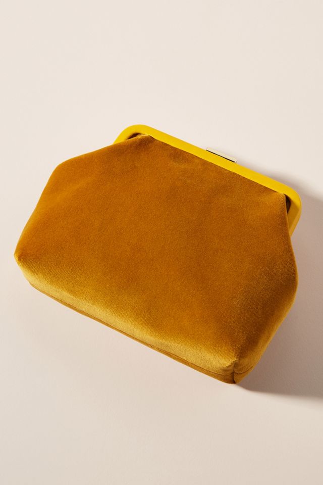 Clare vivier clutch bag