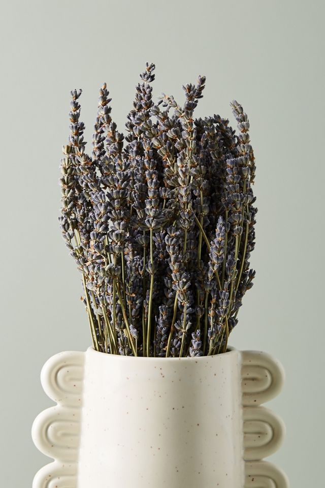 Dried Lavender Bouquet #1