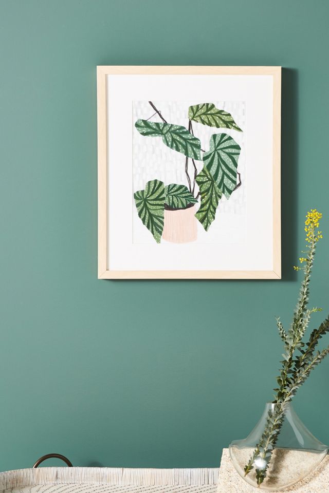 Pot Plant Wall Art