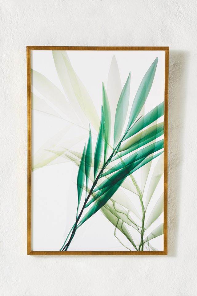 Tropical Study No. 6 Wall Art #1
