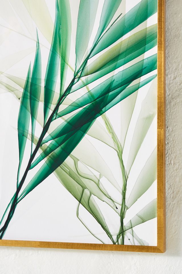 Tropical Study No. 6 Wall Art #2