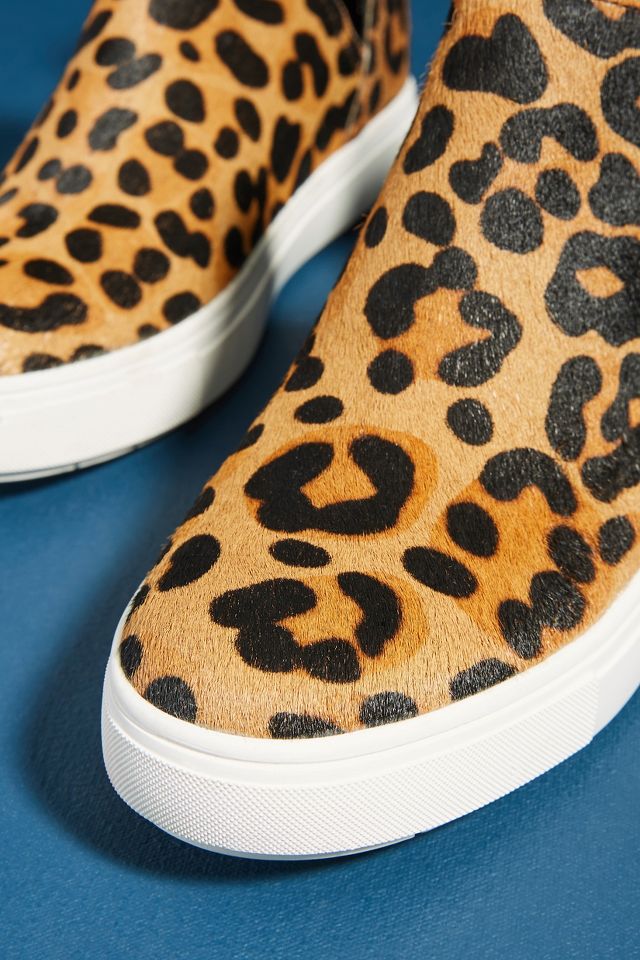 Steven by steve sales madden caprice leopard sneakers