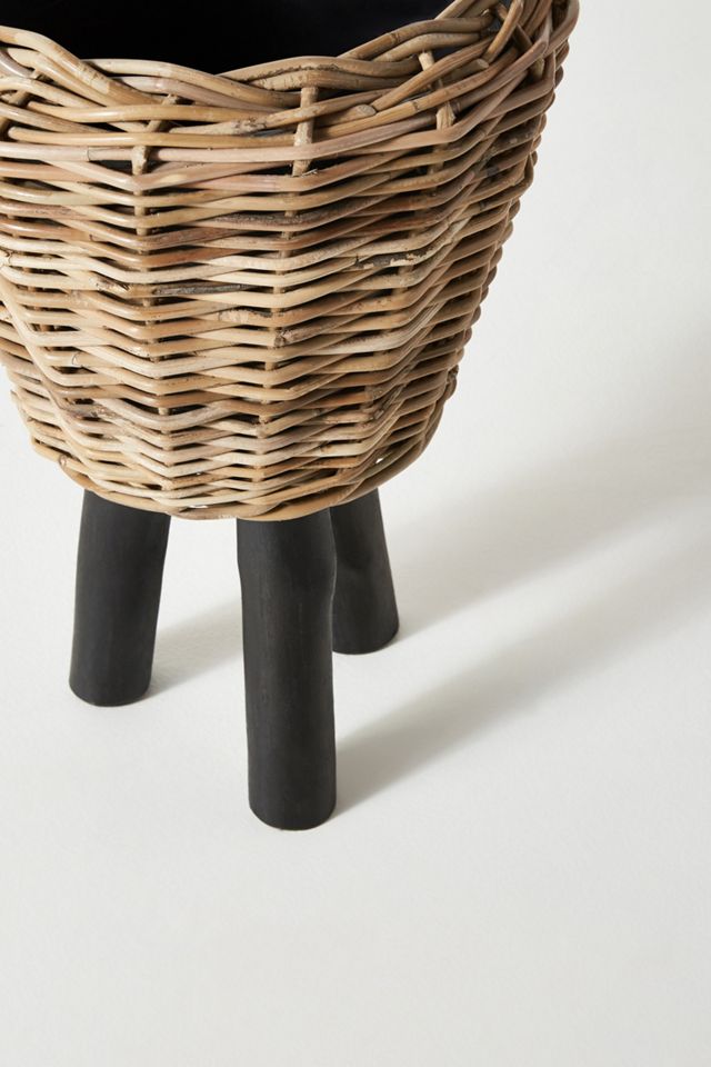 Rhubarb Basket Planter #2