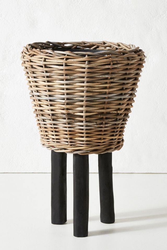 Rhubarb Basket Planter #3