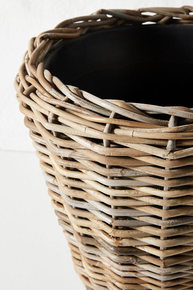 Rhubarb Basket Planter #4