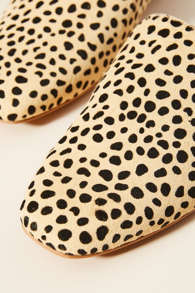 Dolce Vita Brie Slides #2