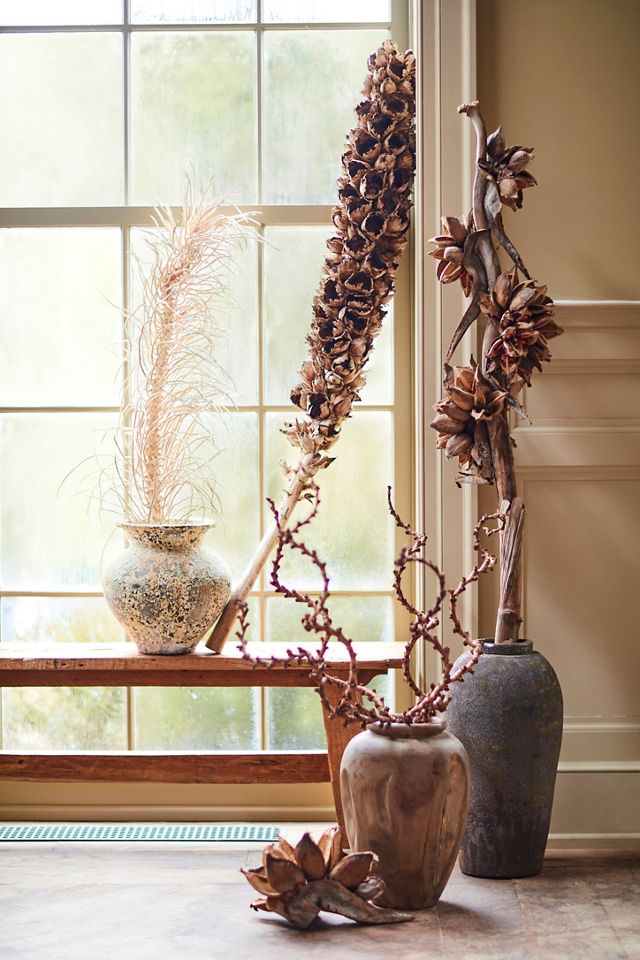 Twisted Ladder Branch #1