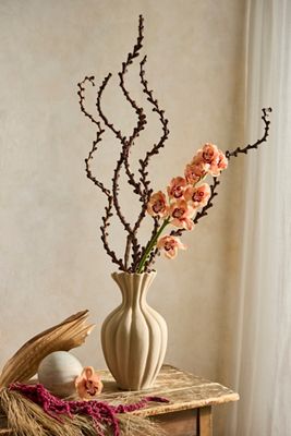Twisted Ladder Branch