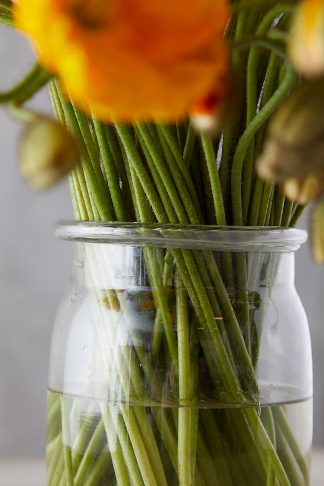 Fresh Poppy Bunch #3