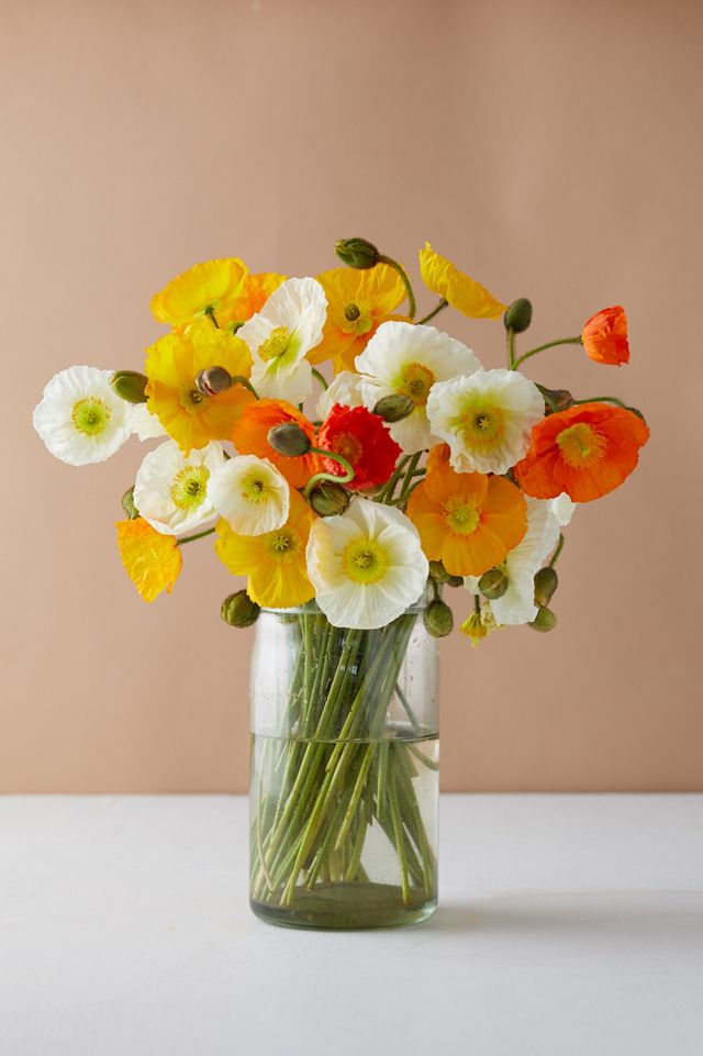 Fresh Poppy Bunch #4