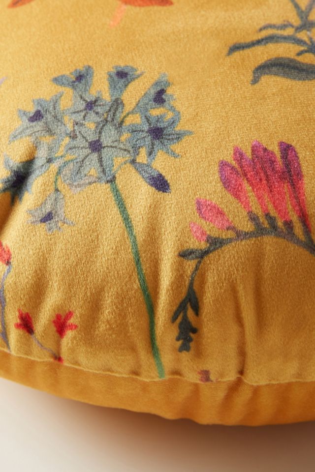 Maureen Velvet Pillow #2