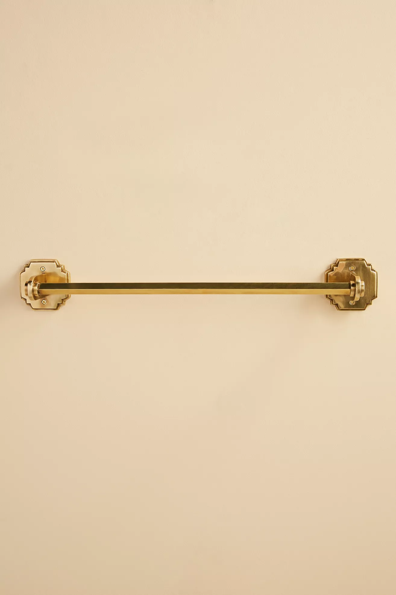 Raina Brass Towel Bar