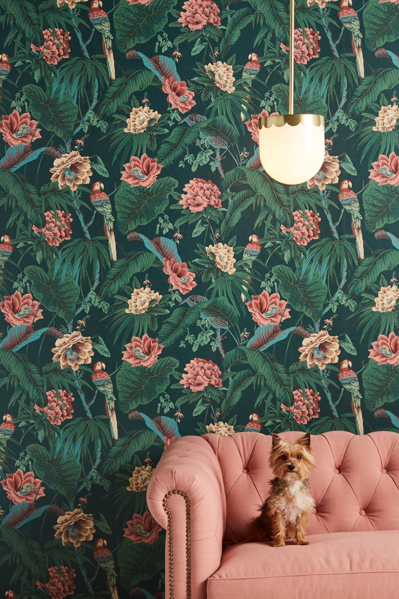 House of Hackney Paradisa Wallpaper