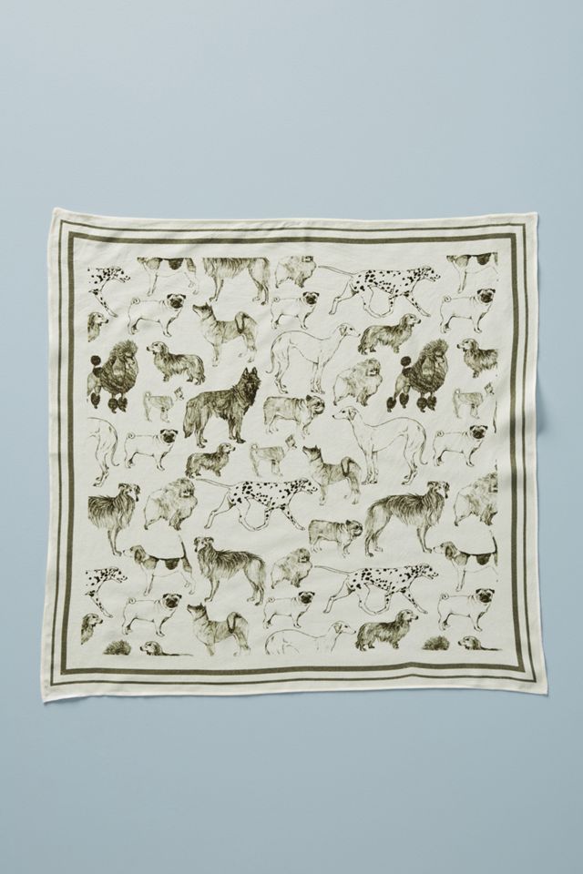 Colloquial Bandana #2