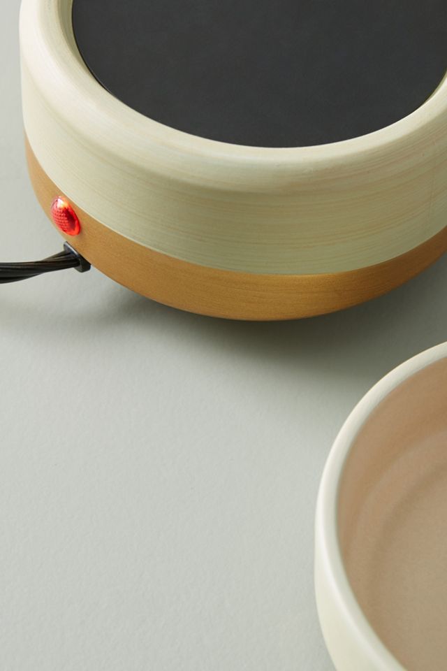 2-in-1 Fragrance Warmer #1