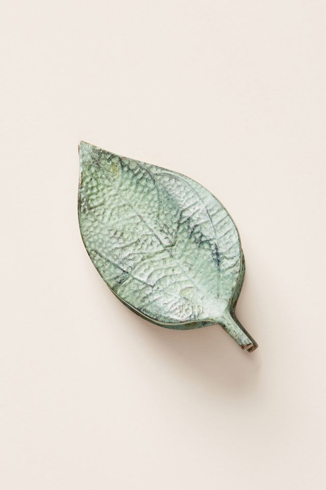 Foliage Photo Clip #1
