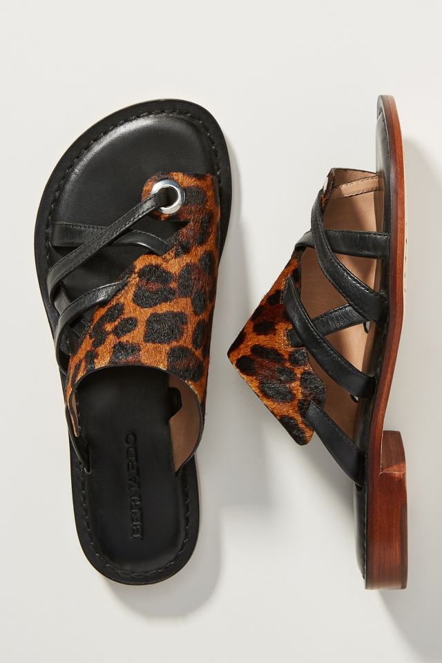 Bernardo tenley sandals new arrivals