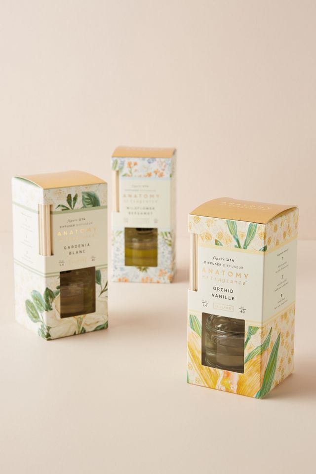 Anatomy of a Fragrance Mini Diffuser #1