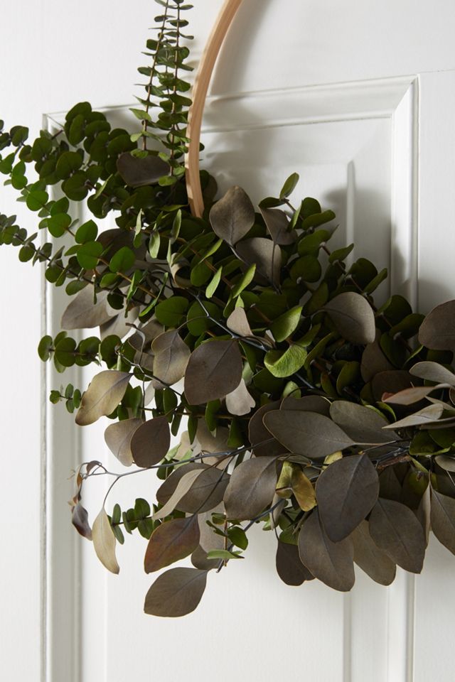 Dried Silver Dollar Eucalyptus Wreath #1