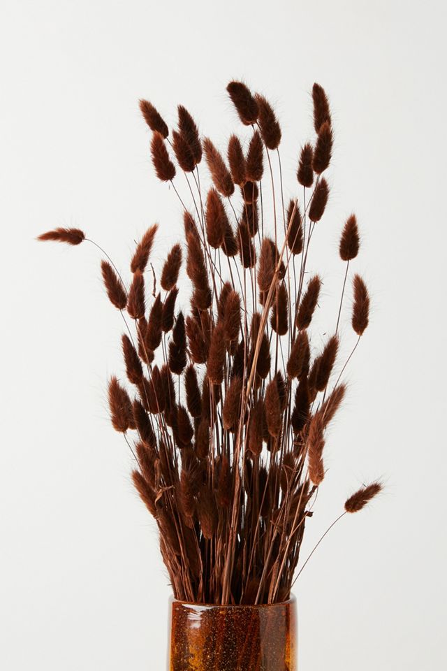 Dried Bunny Tail Bouquet #1