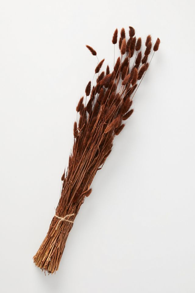 Dried Bunny Tail Bouquet