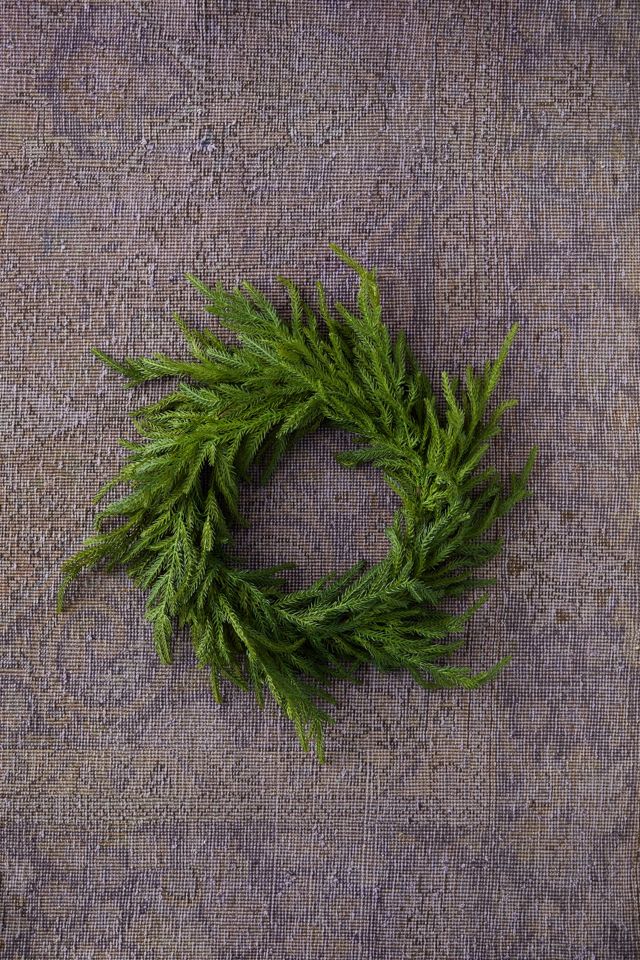 Faux Norfolk Pine Wreath #1