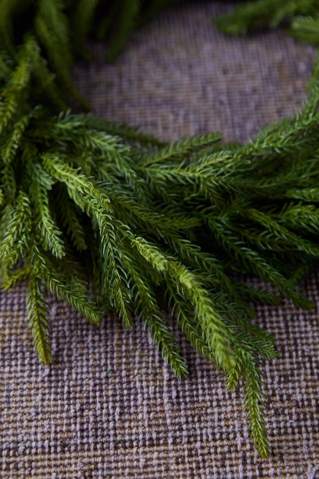 Faux Norfolk Pine Wreath #3