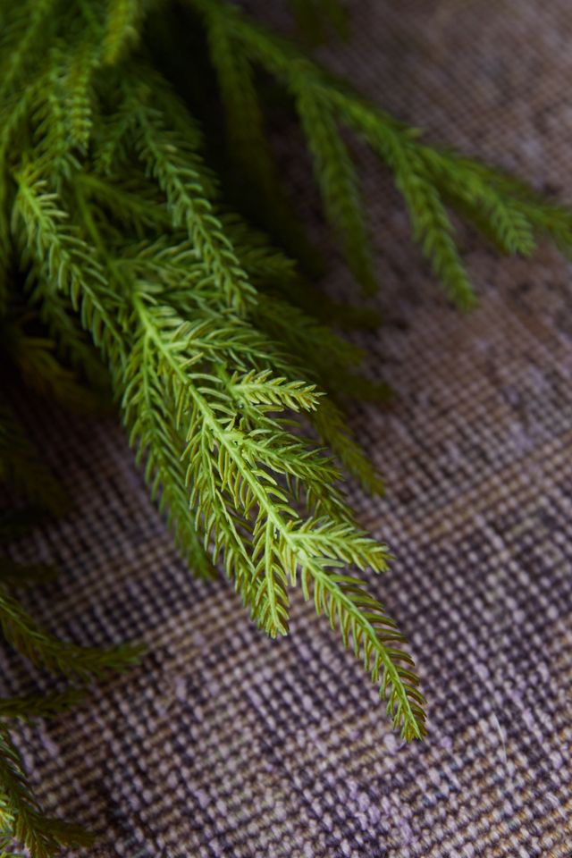 Faux Norfolk Pine Wreath #4