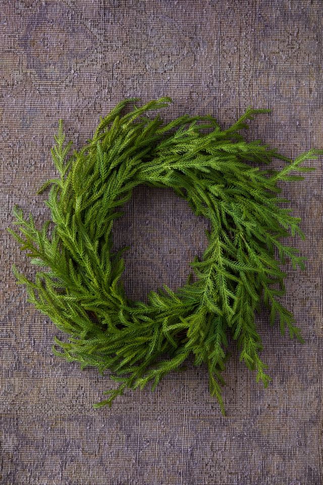 Faux Norfolk Pine Wreath #1