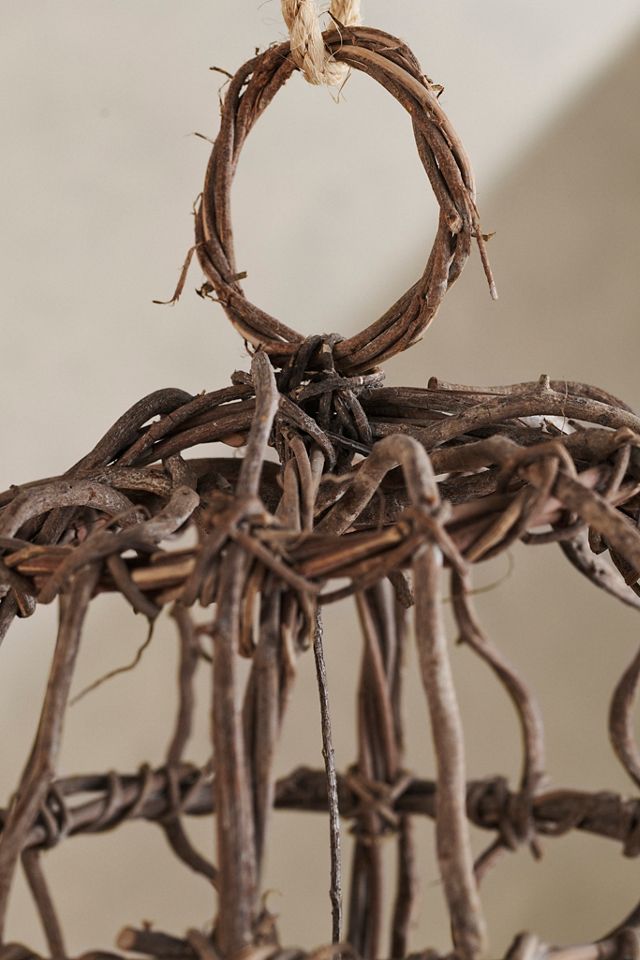 Crazyvine Sphere #4