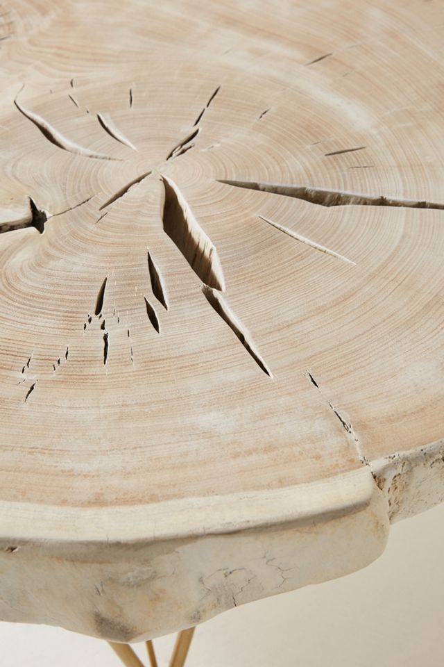 Yukas Sun-Bleached Coffee Table #3