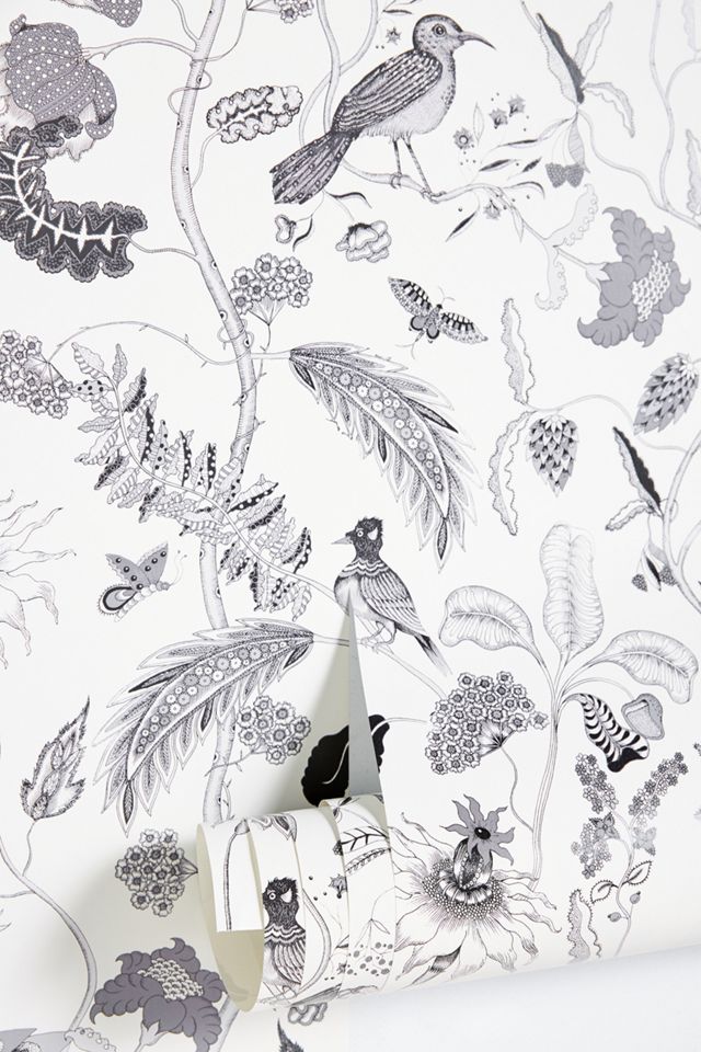 Florence Balducci Fantaisie Wallpaper #1