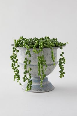 String of Pearls, Metal Urn