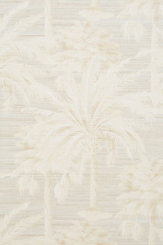 Dream Of Palm Trees Wallpaper #2
