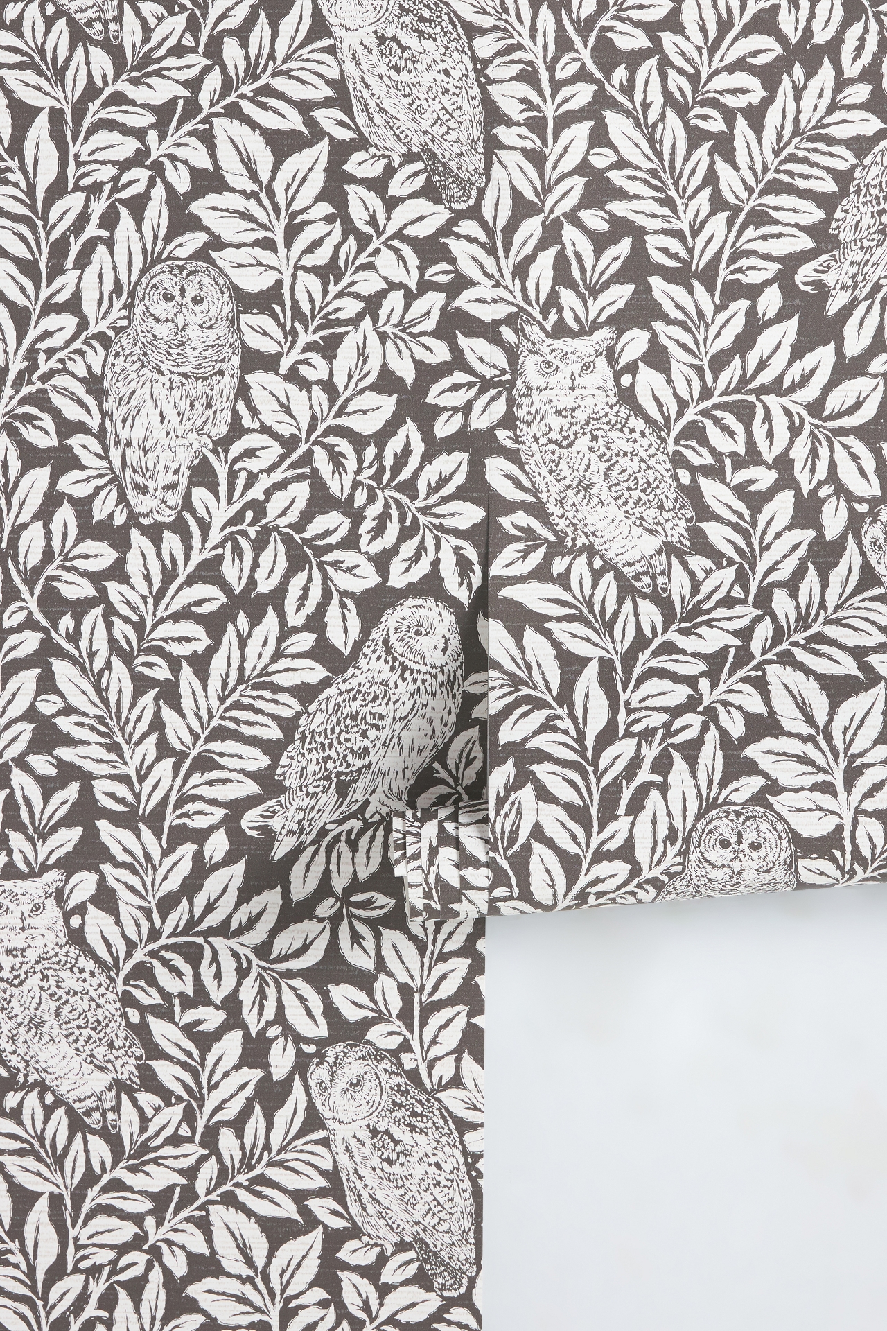 Anthropologie Parliament Owl Wallpaper | Mall of America®