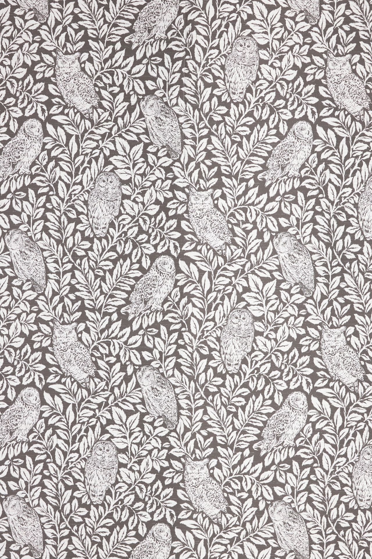 Anthropologie Parliament Owl Wallpaper | Mall of America®