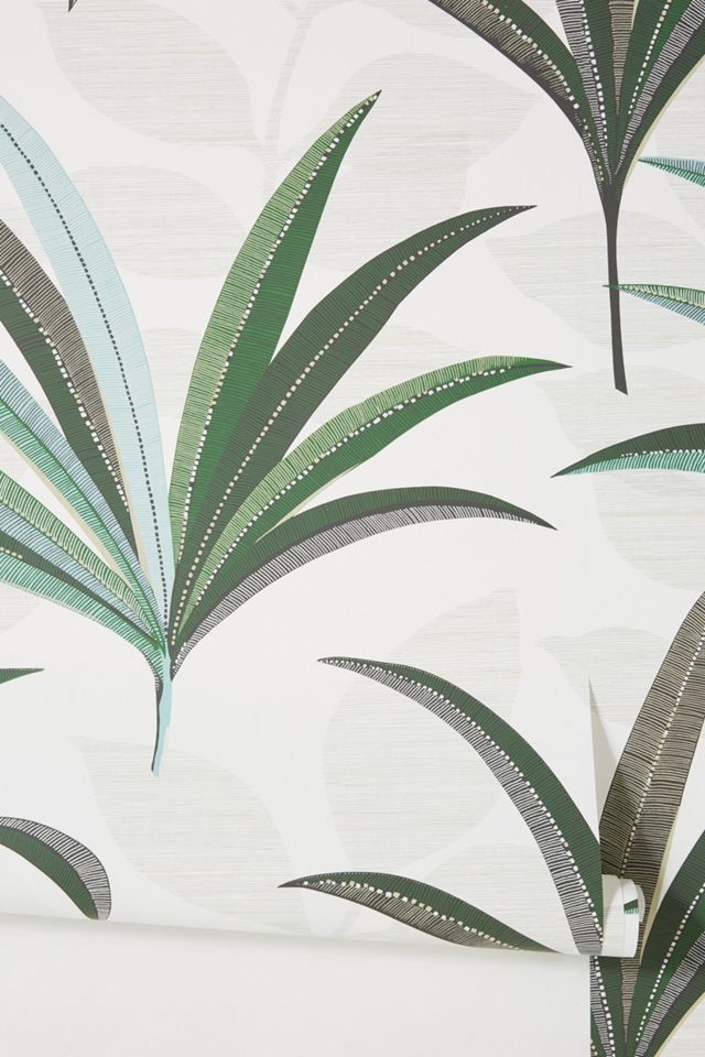 Morocco Palm Wallpaper #1